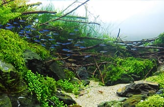 Самые красивые аквариумы Акваскейп подборка #2